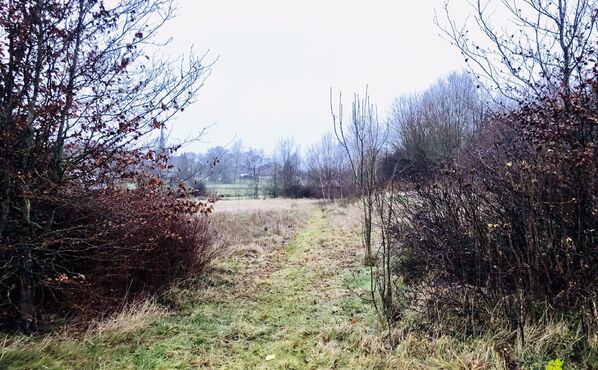 Bouwgrond te koop in Libramont-Chevigny